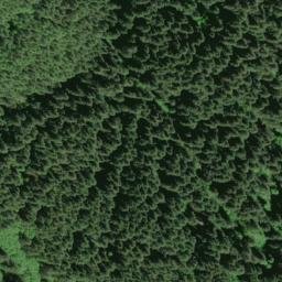 Satellite imagery of Clover Ridge, US