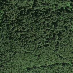 Satellite imagery of Clover Ridge, US