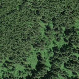 Satellite imagery of Clover Ridge, US