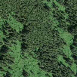 Satellite imagery of Clover Ridge, US