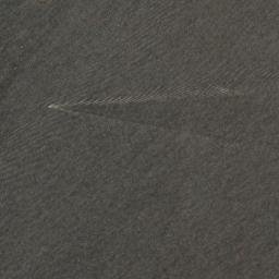 Satellite imagery of Ley Point, CA