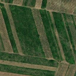 Satellite imagery of TT5, RO