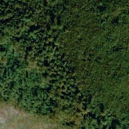 Satellite imagery of Ravna Gora, BA