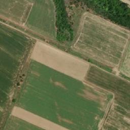 Satellite imagery of TT5/VIII/, RO