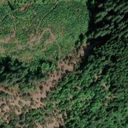 Satellite imagery of Camp Creek Ridge, US