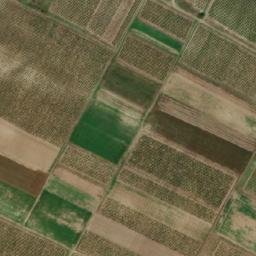 Satellite imagery of TT19, RO