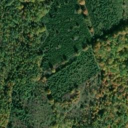 Satellite imagery of Mays Hill, CA