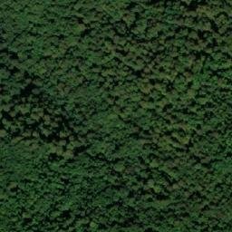 Satellite imagery of Vojvodina Glavica, BA