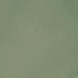 Satellite imagery of Perkins Peninsula, US