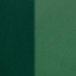 Satellite imagery of Allens Point, CA