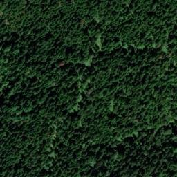 Satellite imagery of Velika Jelika, BA