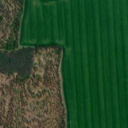 Satellite imagery of TT2229, RO