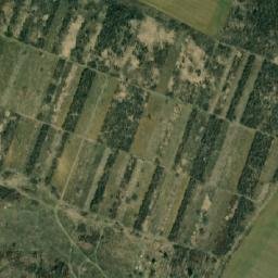 Satellite imagery of TT19/XXXVI/, RO