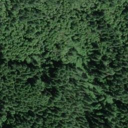 Satellite imagery of Bailey Ridge, US
