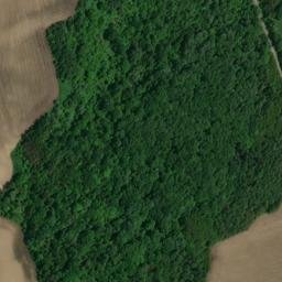 Satellite imagery of Beech Hill, CA