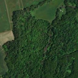 Satellite imagery of Beech Hill, CA