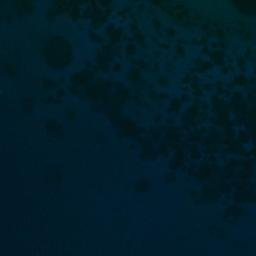 Satellite imagery of Rt Plitkača, HR