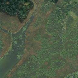 Satellite imagery of Woods Point, CA
