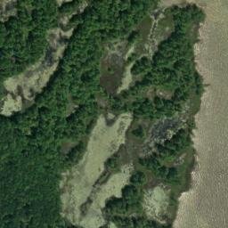 Satellite imagery of Piney Ridge, US
