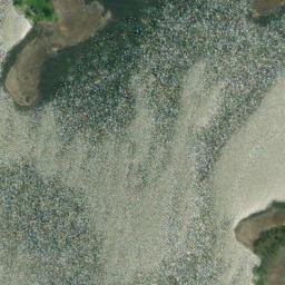 Satellite imagery of Pine Point, CA