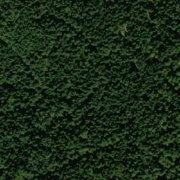 Satellite imagery of Borovnica, BA