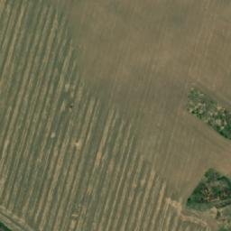 Satellite imagery of 503, RO