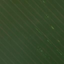 Satellite imagery of TT43, RO