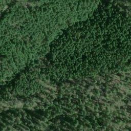 Satellite imagery of Williams Ridge, US