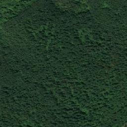 Satellite imagery of TT19/IV/, RO