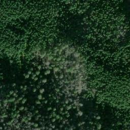 Satellite imagery of Williams Ridge, US