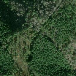 Satellite imagery of Williams Ridge, US