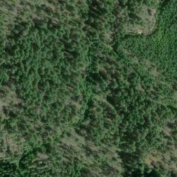 Satellite imagery of Williams Ridge, US