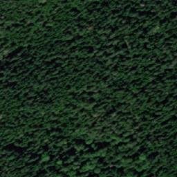 Satellite imagery of Bukov Rat, BA