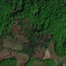 Satellite imagery of Divić, RS