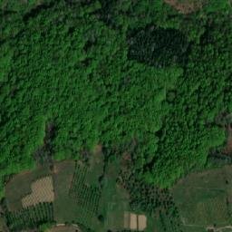 Satellite imagery of Divić, RS