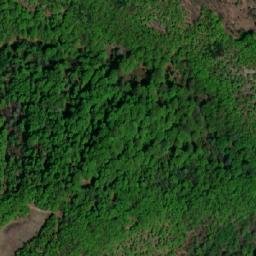 Satellite imagery of Divić, RS