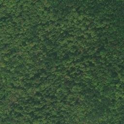 Satellite imagery of Calf Pasture Point, CA