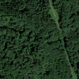 Satellite imagery of Panjevačka Kosa, RS