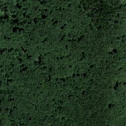 Satellite imagery of Panjevačka Kosa, RS