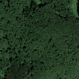 Satellite imagery of Panjevačka Kosa, RS