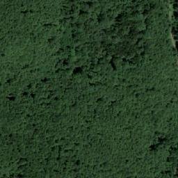 Satellite imagery of Panjevačka Kosa, RS