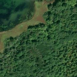 Satellite imagery of Pickerel Point, CA