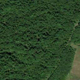 Satellite imagery of Bukve, BA