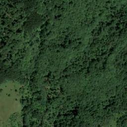 Satellite imagery of Panjevačka Kosa, RS