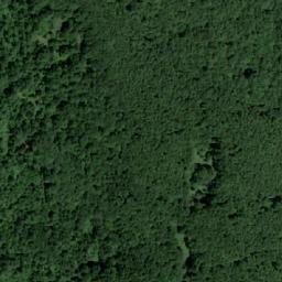 Satellite imagery of Panjevačka Kosa, RS