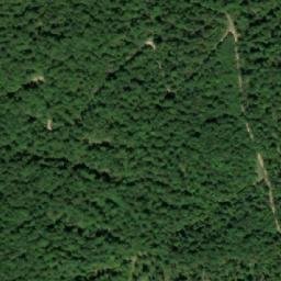 Satellite imagery of Bukve, BA