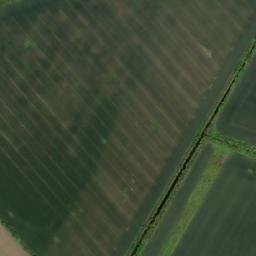 Satellite imagery of TT49B, RO