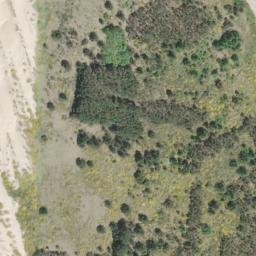 Satellite imagery of Spruce Point, US