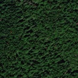 Satellite imagery of Prevale, BA