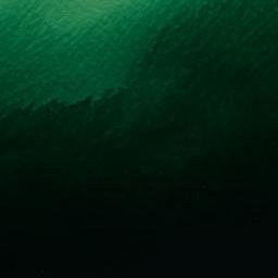 Satellite imagery of McGlennon Point, CA